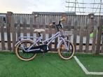 Fiets 16 inch paars met mandje, Eén persoon, Ticket of Toegangskaart