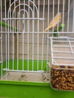 Ik zoek kanaries in heemskerk bevereijk, Dieren en Toebehoren, Vogels | Kanaries, Meerdere dieren