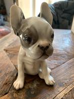 Franse bulldog germany, Ophalen of Verzenden
