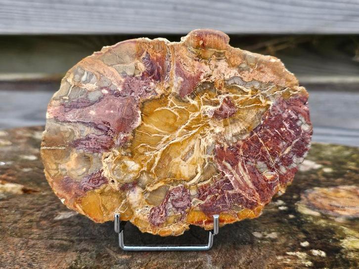 Prachtige versteend hout schijf 392 gram, Sieraden, Tassen en Uiterlijk, Edelstenen, Ophalen of Verzenden