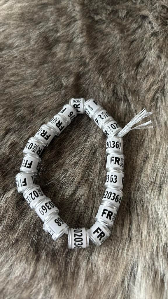 (FR)Postduiven ringen 2026, Meerdere dieren, Postduif