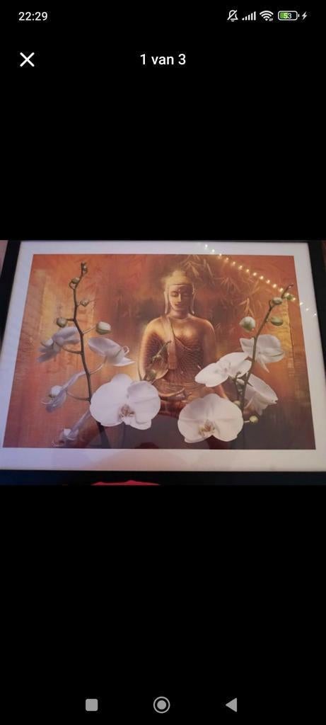 Boeddha Schilderij met Orchideeën, Verzenden