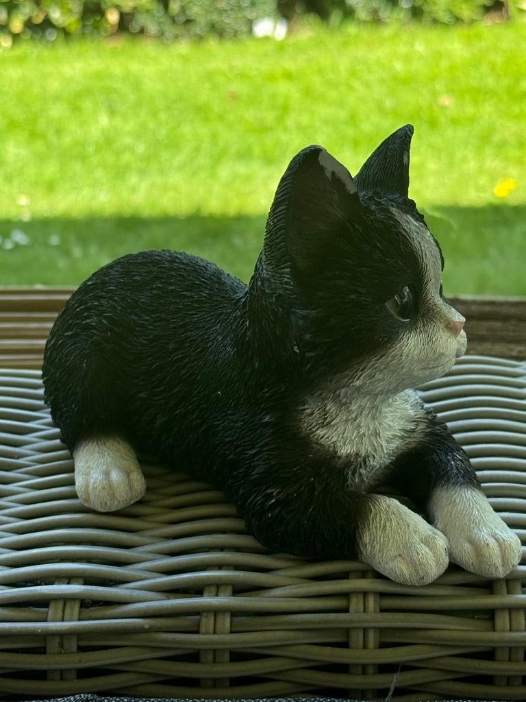 Beeld katje met verzendschade aan oor., Verzamelen, Beelden en Beeldjes, Ophalen of Verzenden, Nieuw, Dier