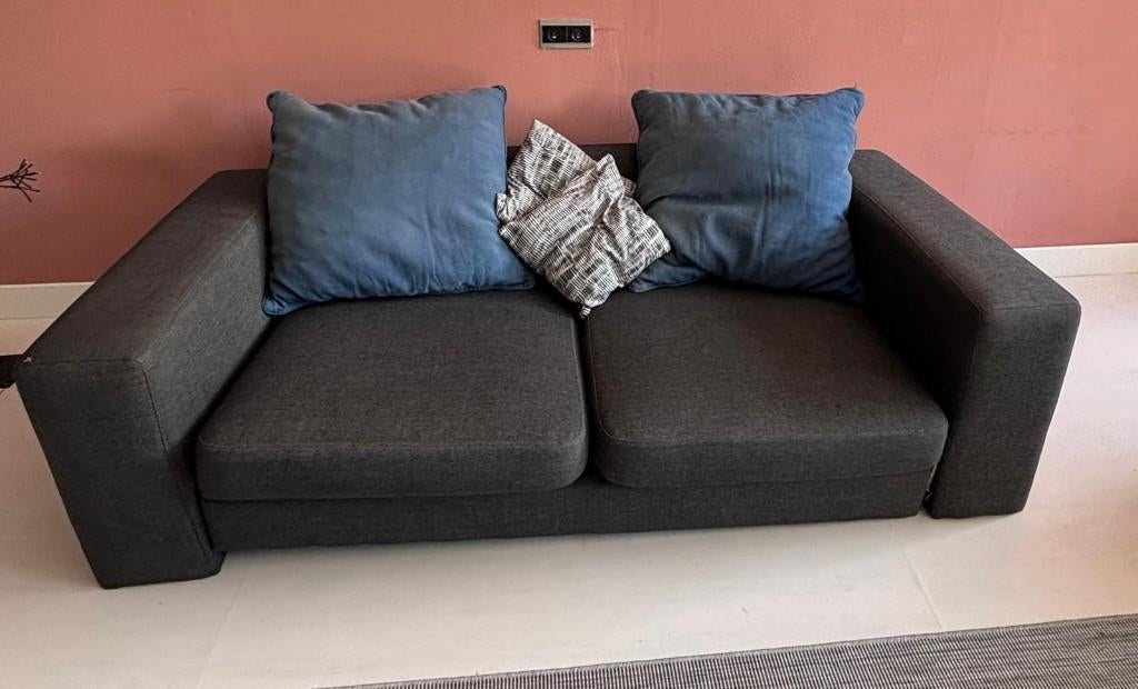 A spacious two-seater sofa, Ophalen, Gebruikt, Tweepersoons, 75 tot 100 cm