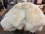 Nieuwe grote schapenvachten wit / bruin of gemelleerd, Ophalen, Nieuw