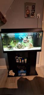 juwel aquarium, Ophalen of Verzenden, Leeg aquarium