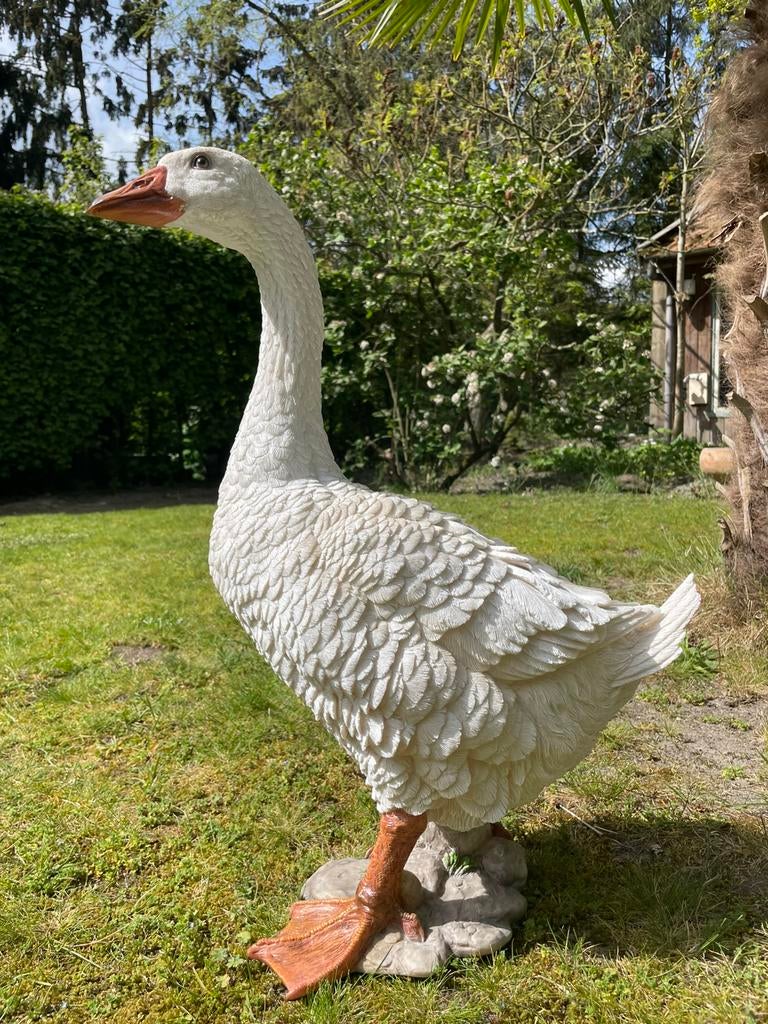 Witte gans beeld tuin vijver zwembad terras boerderij, Ophalen, Kunststof