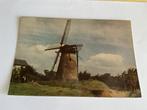 644 molen Rijswijk Gelderland gemeente Maurik, Verzamelen, Ansichtkaarten | Nederland, Ophalen of Verzenden, Gelderland