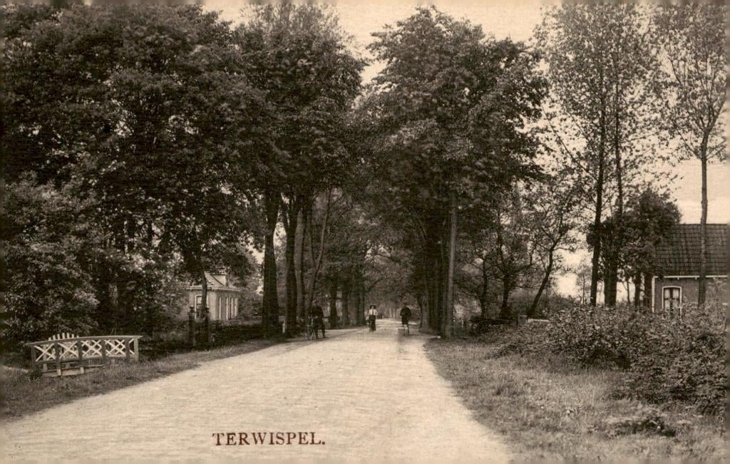 Terwispel Dorpsgezicht # 913, Verzamelen, Verzenden, 1920 tot 1940, Ongelopen, Friesland
