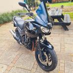 Yamaha TDM 900, 2 cilinders, Motorrijbewijs A, 900 cc, Particulier
