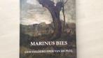 Marius Bies - De schilder van de Peel, Ophalen of Verzenden, Nieuw