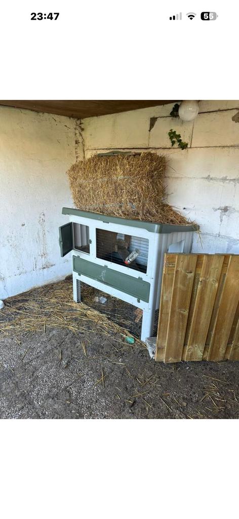 Kunsstof konijnenhok, in prima staat, Dieren en Toebehoren, Knaagdieren en Konijnen | Hokken en Kooien, Ophalen, 110 cm of meer
