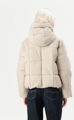 Object pufferjack lichtbeige maat XS, Ophalen of Verzenden, Nieuw, Maat 36 (S), Beige