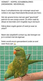 VERMIST KOPPEL SCHUBBEN LORIES, Meerdere dieren, Papegaai, Geringd