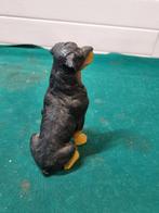 beeld rotweiler zittend, Ophalen of Verzenden