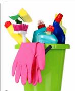 Schoonmaakster aangeboden, Ophalen of Verzenden, Overige typen