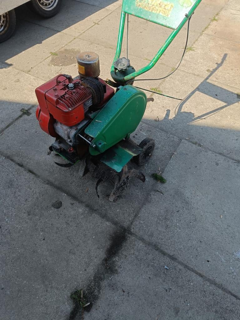 Viking tuinfrees., Ophalen, 50 cm of meer