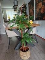 Grote kunstplant / boom, 100cm hoog, Ophalen of Verzenden, Gebruikt, Binnen