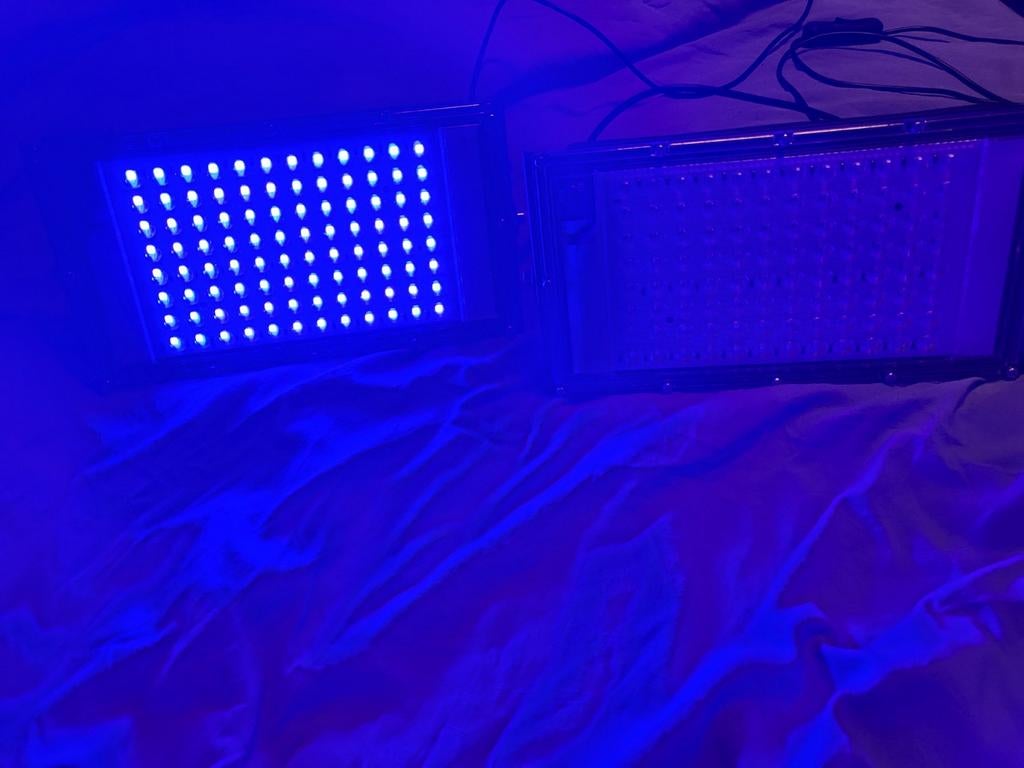 2x Bruiningslampen met standaards, Ophalen of Verzenden, Gebruikt, Overige modellen, Minder dan 10 lampen