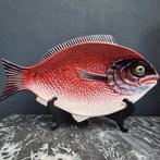 51,5 cm!!!! Grote Portugees aardewerk visschaal, Ophalen of Verzenden