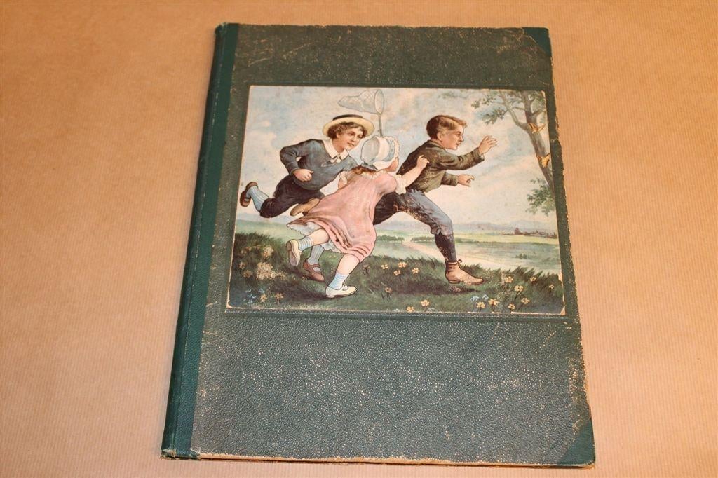 Baan\'s Album: Insecten [1915— Compleet Plaatjesalbum, Ophalen of Verzenden, Gelezen