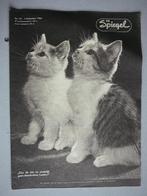 De Spiegel Christelijk Nationaal Weekblad nr. 49, 1954, Antiek en Kunst, Ophalen of Verzenden