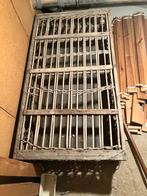 Grote duivenmand, Meerdere dieren