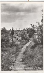 ottersum- wandelpadje in de siep, Ophalen of Verzenden, 1940 tot 1960, Friesland