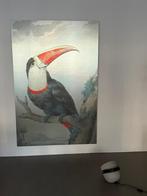 Schilderij Toekan (op aluminium), prachtig kunstwerk, Ophalen