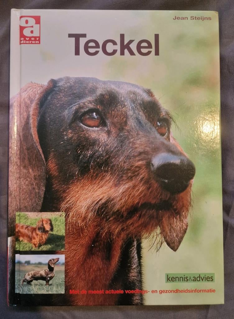 J. Steijns - Teckel zo (goed als nieuw) nieuwprijs 49,-, Honden, Ophalen of Verzenden, Zo goed als nieuw, J. Steijns