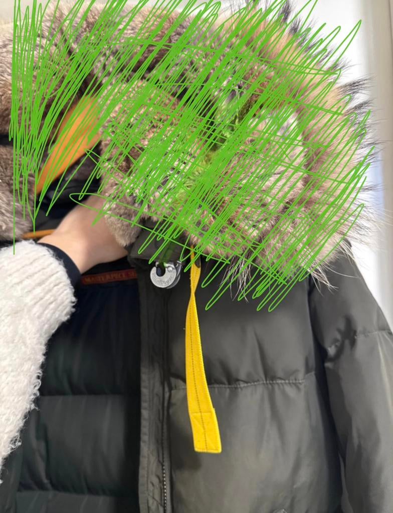 Parajumpers longbear M, Kleding | Dames, Jassen | Winter, Ophalen of Verzenden, Zo goed als nieuw, Maat 38/40 (M), Groen