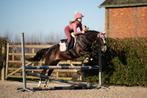 Super lieve en knappe C pony merrie, Merrie, Met stamboom, Springpony, Zadelmak