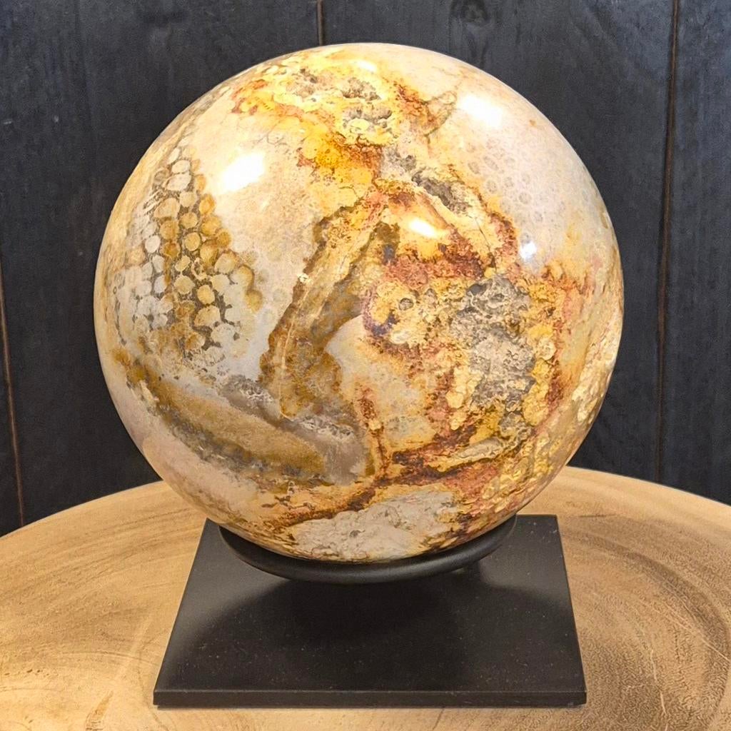 Fossiel koraal bol op standaard 5 kilo, Ophalen of Verzenden, Fossiel