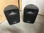 Samson Auro D208 luidsprekers, Gebruikt, 120 watt of meer, Front, Rear of Stereo speakers, Ophalen