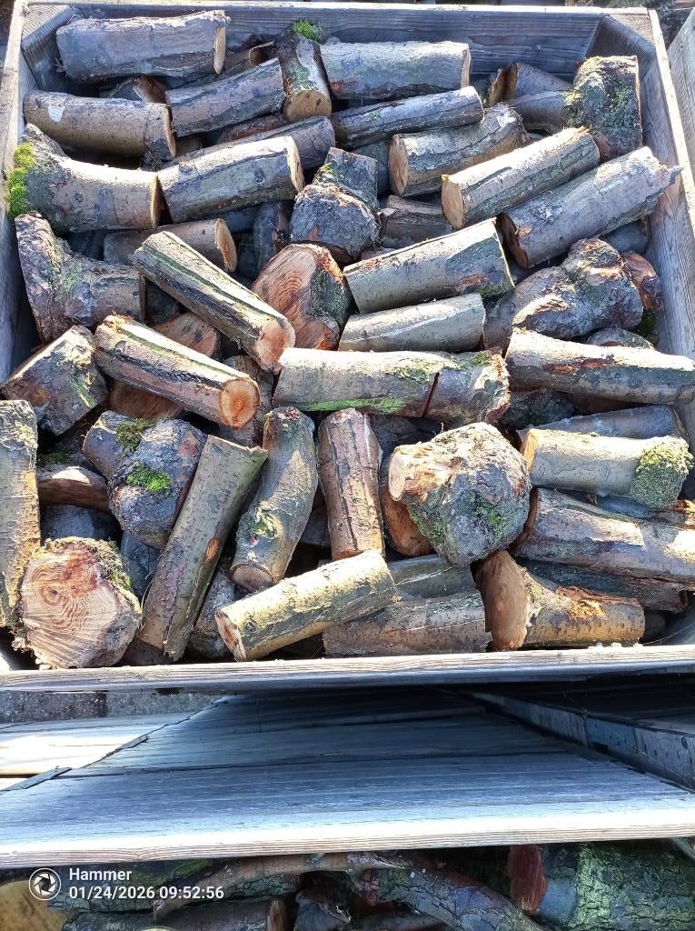 Openhaardhout appel, pas gerooid., Tuin en Terras, Haardhout, 6 m³ of meer, Ophalen, Overige houtsoorten, Stammen