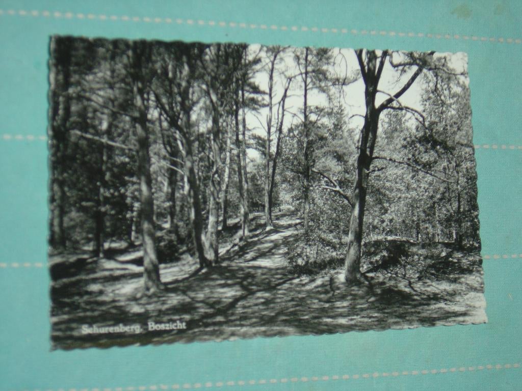 14) Zwart-wit ansichtkaart Schurenberg, Ophalen of Verzenden, 1960 tot 1980, Ongelopen