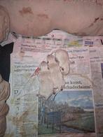 Pomeriaan pups, Parvo, 8 tot 15 weken, Meerdere, Nederland