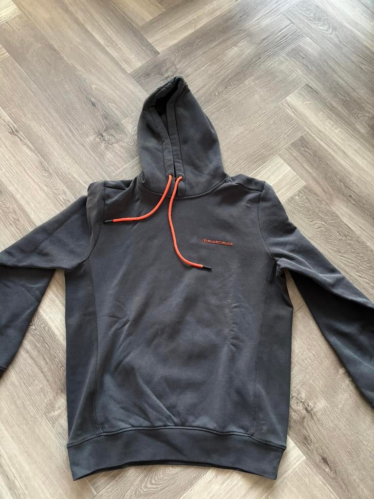 Hoodie maat L, Ophalen of Verzenden, Zo goed als nieuw, Maat 52/54 (L), Grijs
