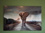 Prachtige olifant foto/schilderij op glas - 80x120 cm, Huis en Inrichting, Woonaccessoires | Schilderijen, Tekeningen en Foto's