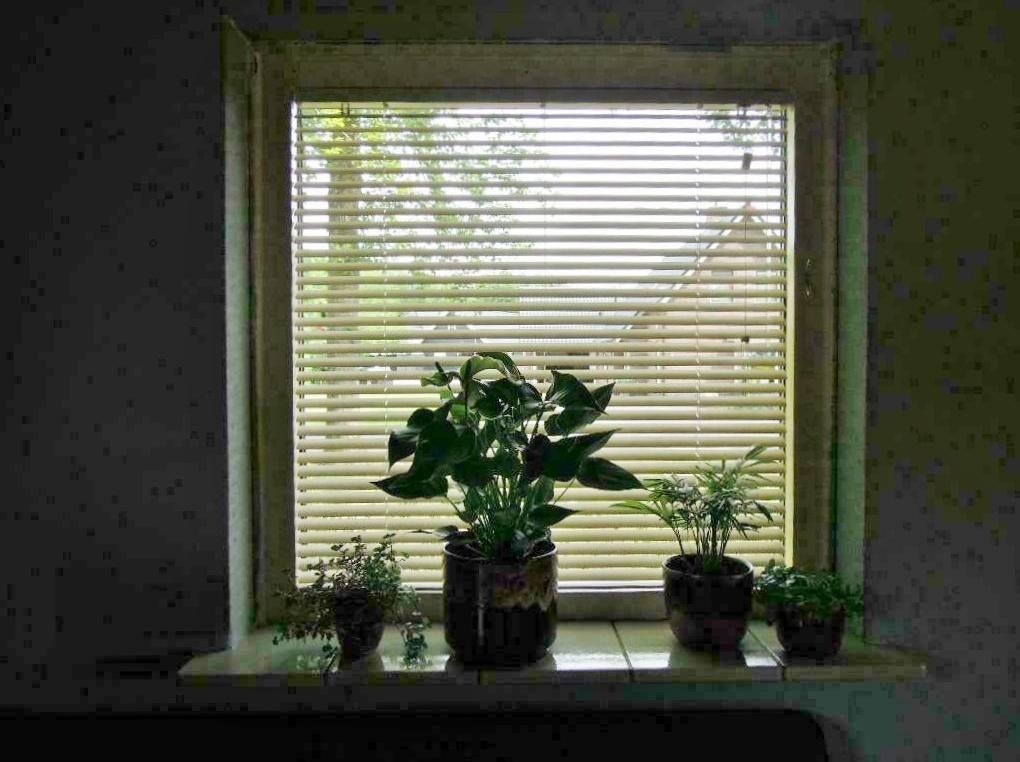 2 x luxaflex van Veneta, zgan, kleur creme, Huis en Inrichting, Zo goed als nieuw, Crème, 150 tot 200 cm, 50 tot 100 cm