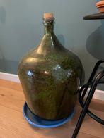 Terrarium plant, Ophalen of Verzenden