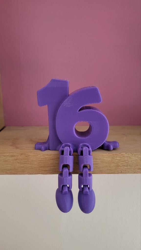 Kado 16 jaar sweet sixteen 16 cadeautje cadeau, Ophalen of Verzenden, Nieuw, Feestartikel, Verjaardag
