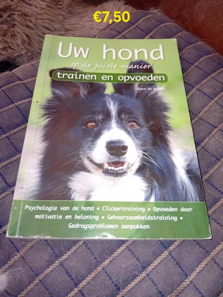 Boek uw hond op de juiste manier trainen en opvoeden  nieuw, Ophalen of Verzenden, Nieuw, Honden