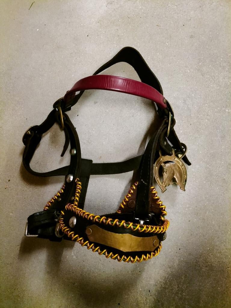 Origineel Haflinger halster/hoofdstel, Dieren en Toebehoren, Paarden en Pony's | Hoofdstellen en Tuigage, Ophalen of Verzenden