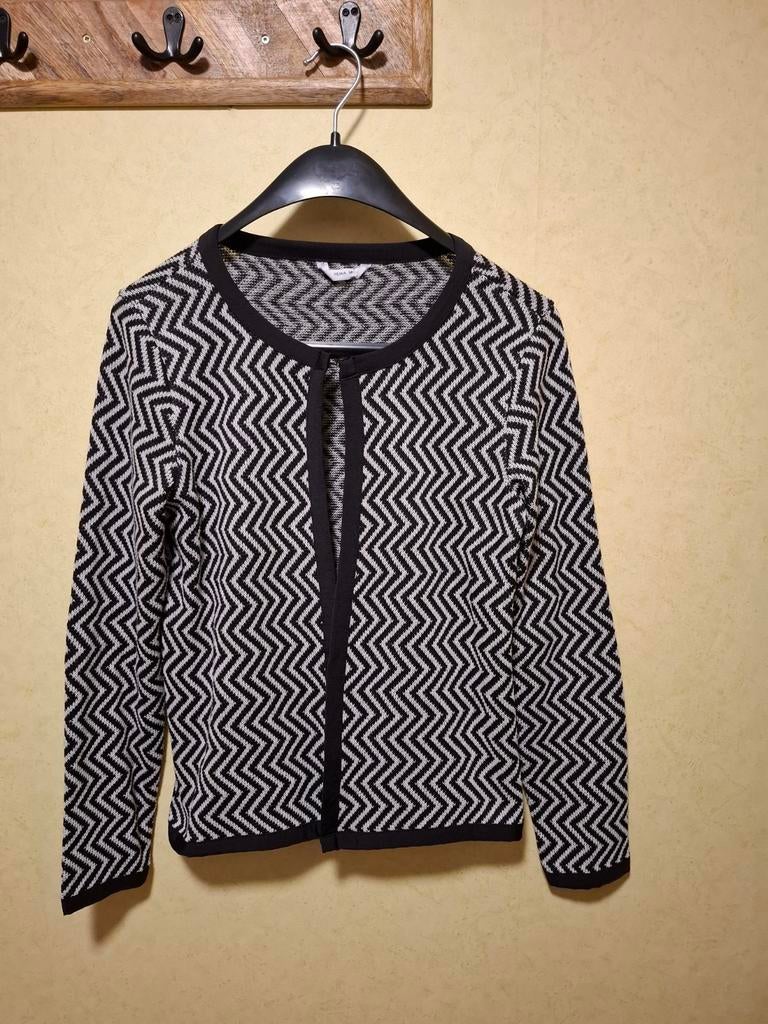 Hema vest met zigzagpatroon, maat M, Maat 38/40 (M), Overige kleuren, Ophalen of Verzenden, Gedragen