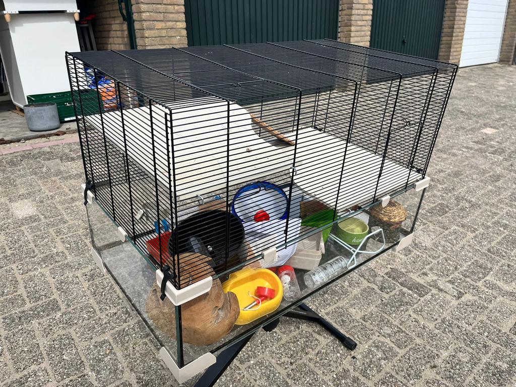 Knaagdierenkooi met toebehoren, Ophalen, Kooi, Gebruikt, 60 tot 90 cm