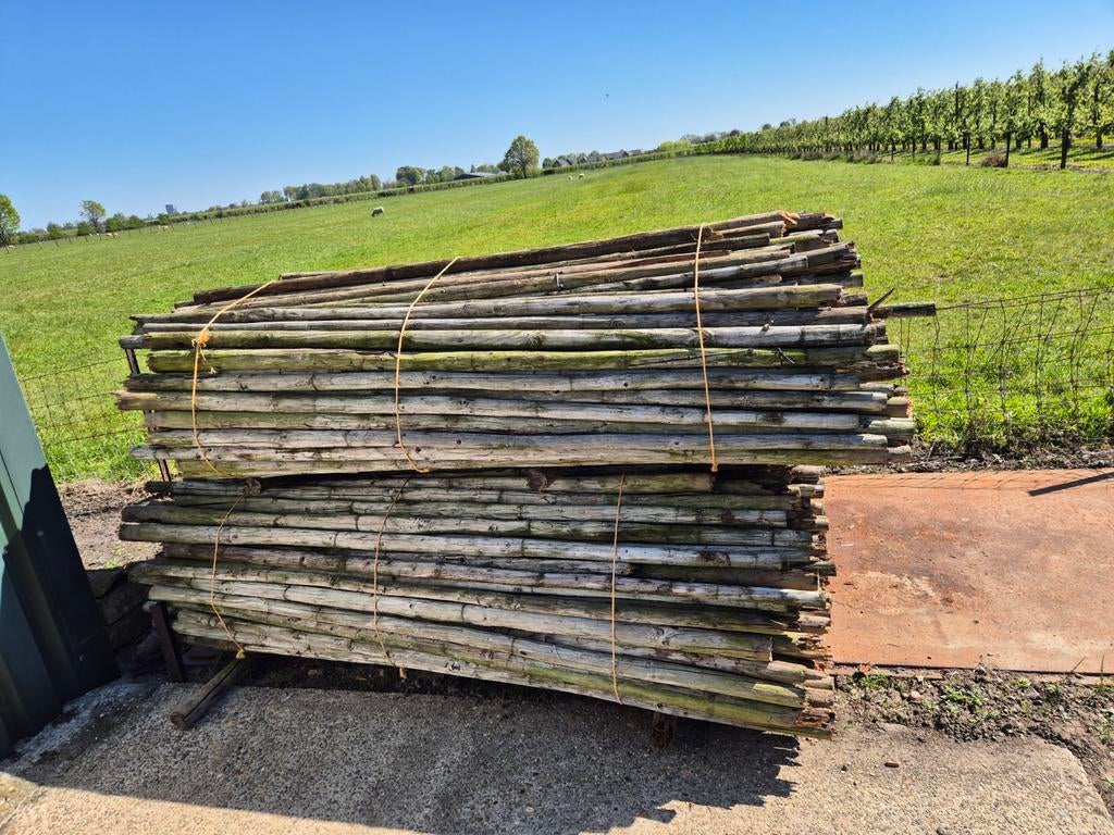 Gebroken boompalen, Tuin en Terras, Palen, Balken en Planken, Ophalen of Verzenden, 250 cm of meer, Palen