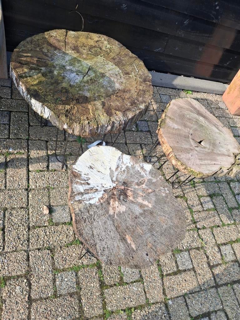 Set van 3 boomstam bijzettafeltjes met ijzeren poten, Huis en Inrichting, Tafels | Bijzettafels, 45 tot 60 cm, Gebruikt, Rond