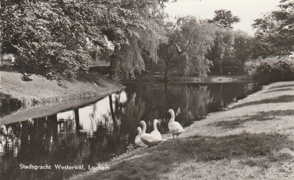 lochem- westerwal, Ophalen of Verzenden, 1940 tot 1960, Gelderland