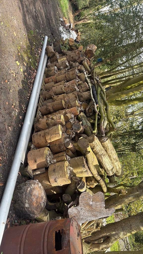 Ongekloofde hout verschillende soorten, Tuin en Terras, Haardhout, 6 m³ of meer, Ophalen